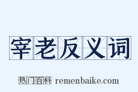 宰老反义词是什么意思的图片